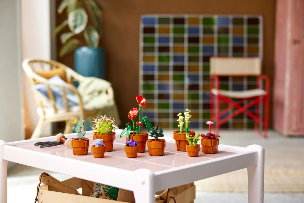 PLANTAS DIMINUTAS