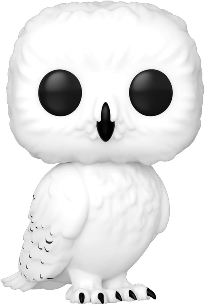 POP & TEE - H.P. HEDWIG (T.S)