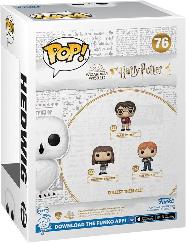 POP & TEE - H.P. HEDWIG (T.S)