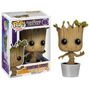 POP DANCING GROOT