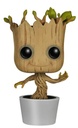 POP DANCING GROOT