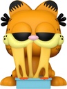 POP GARFIELD C/LASAGNA