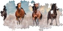 PUZ 1000 CABALLOS PANORAMICO