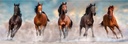 PUZ 1000 CABALLOS PANORAMICO