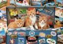 PUZ. 200 GATITOS VIAJEROS