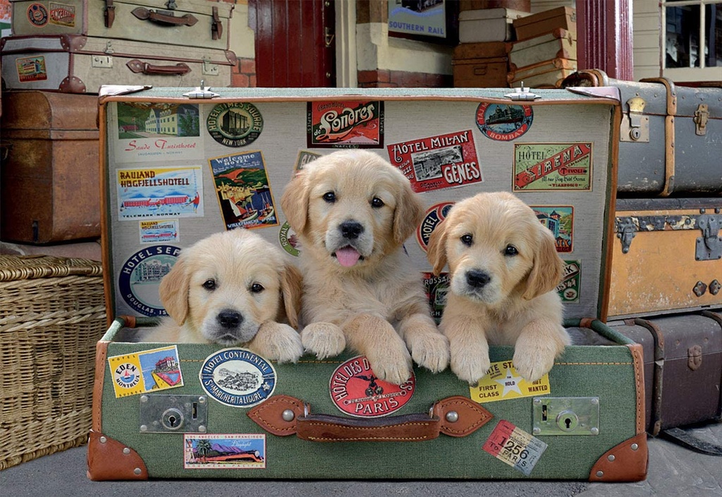 PUZ. 500 CACHORROS EQUIPAJE