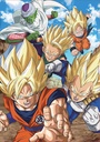 PUZ. 500 DRAGON BALL