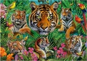 PUZ. 500 JUNGLA DE TIGRES