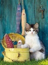 PUZ. 500 KITTENS