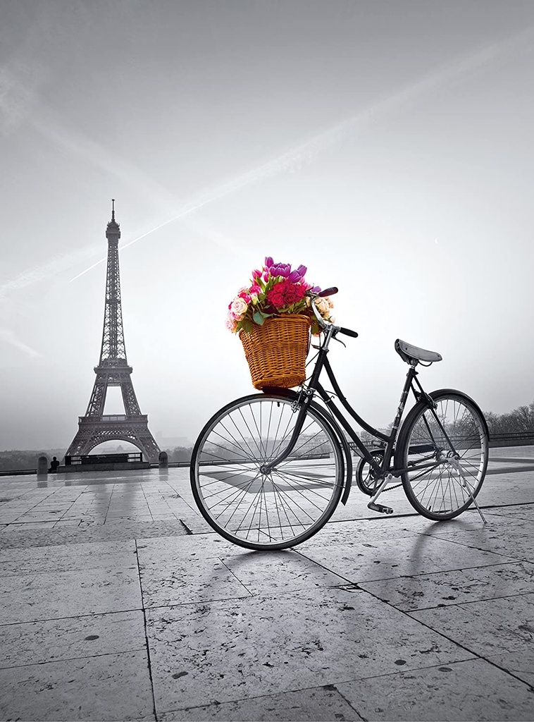 PUZ. 500 PASEO ROMANTICO PARIS