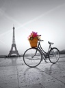 PUZ. 500 PASEO ROMANTICO PARIS