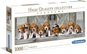 PUZ.1000 BEAGLES-PANORAMA
