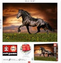 PUZ.1000 CABALLO AL TROTE