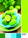 PUZ.1000 PANTONE-LIMA