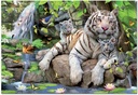 PUZ.1000 TIGRES BLANCOS BENGAL