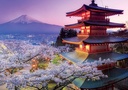 PUZ.2000 MONTE FUJI, JAPON