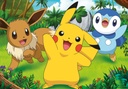 PUZ.2x24 POKEMON