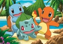 PUZ.2x24 POKEMON