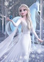 PUZ.2x500 FROZEN 2