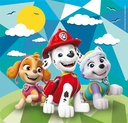 PUZ.3x48 PAW PATROL SUPER COL.