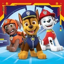 PUZ.3x49 PAW PATROL