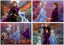 PUZ.50+80+100+150 FROZEN 2