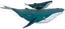 PUZLE BALLENA 3D