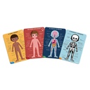 PUZZLE EDUC. CUERPO HUMANO