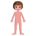 PUZZLE EDUC. CUERPO HUMANO