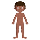 PUZZLE EDUC. CUERPO HUMANO