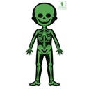 PUZZLE EDUC. CUERPO HUMANO