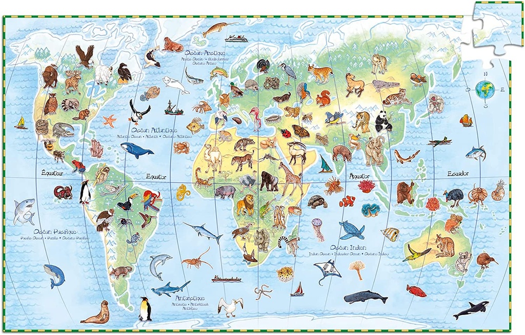 PUZZLE OBSERV.ANIMALES MUNDO