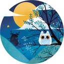 PUZZLE SILUETA CABALLERO LUNA LL