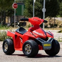 QUAD RACY 6V