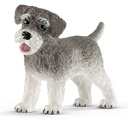 SCHNAUZER MINIATURA