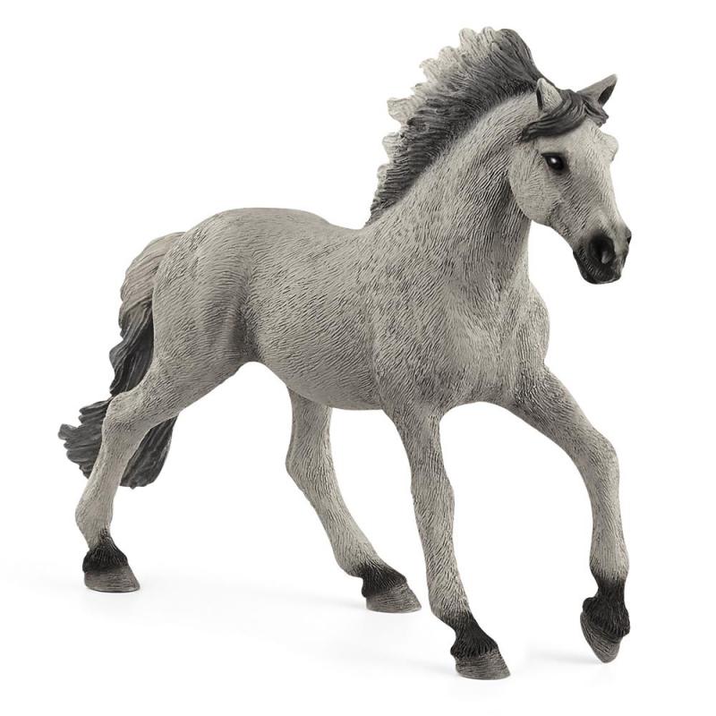 SEMENTAL SORRAIA MUSTANG