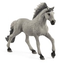 SEMENTAL SORRAIA MUSTANG