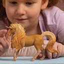 SEMENTAL UNICORNIO APOLLON