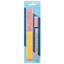 SET DE REGLAS DE 30 Y 15 CM