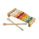 SET MUSICAL SUNSHINE