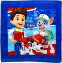 TOALLITAS MAGICAS PAW PATROL