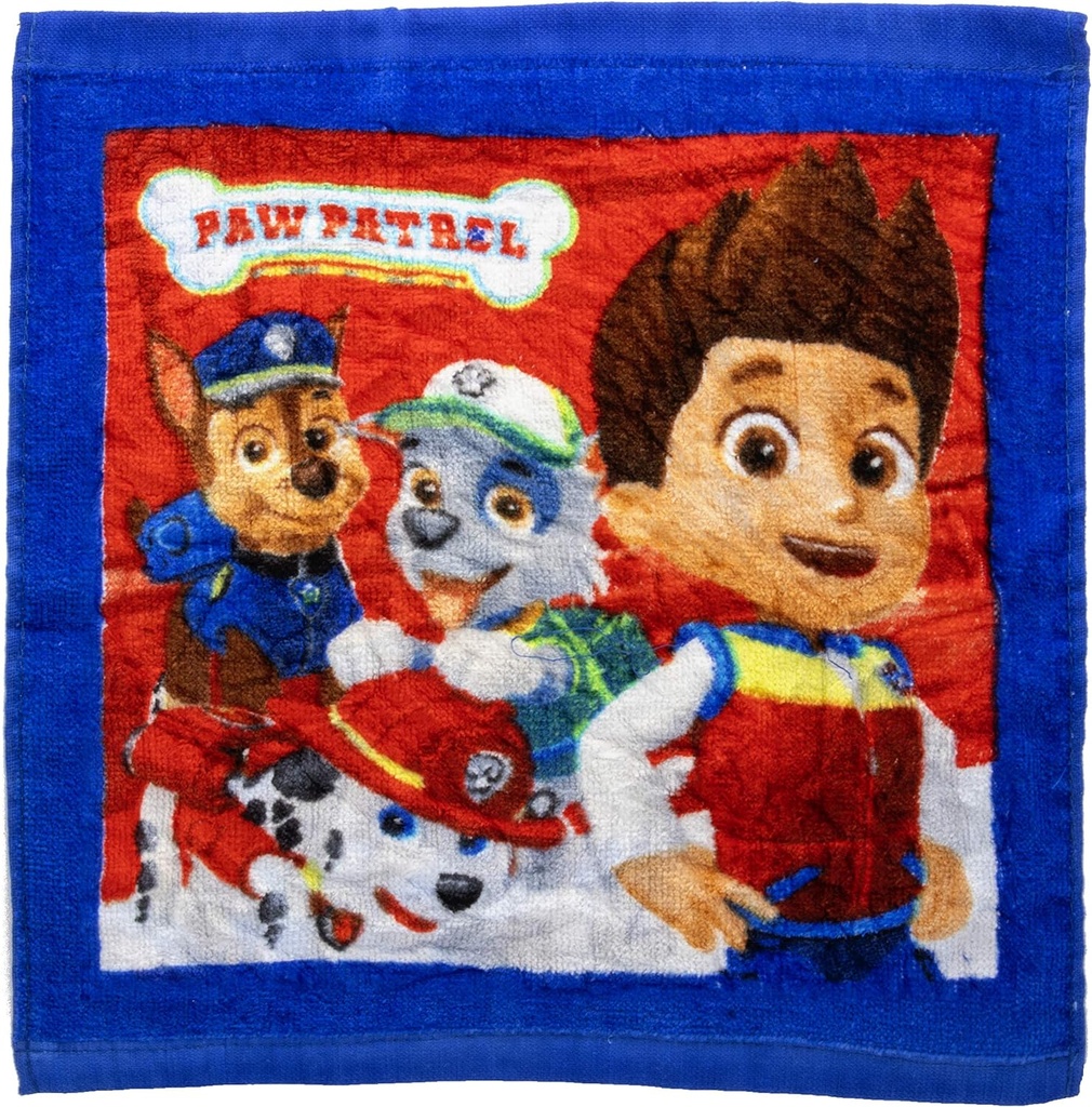 TOALLITAS MAGICAS PAW PATROL