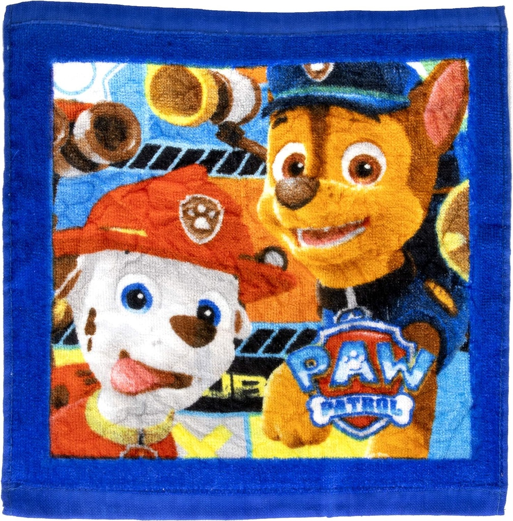 TOALLITAS MAGICAS PAW PATROL