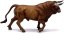 TORO COLORADO TROTANDO