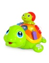 TORTUGA CAMINADORA