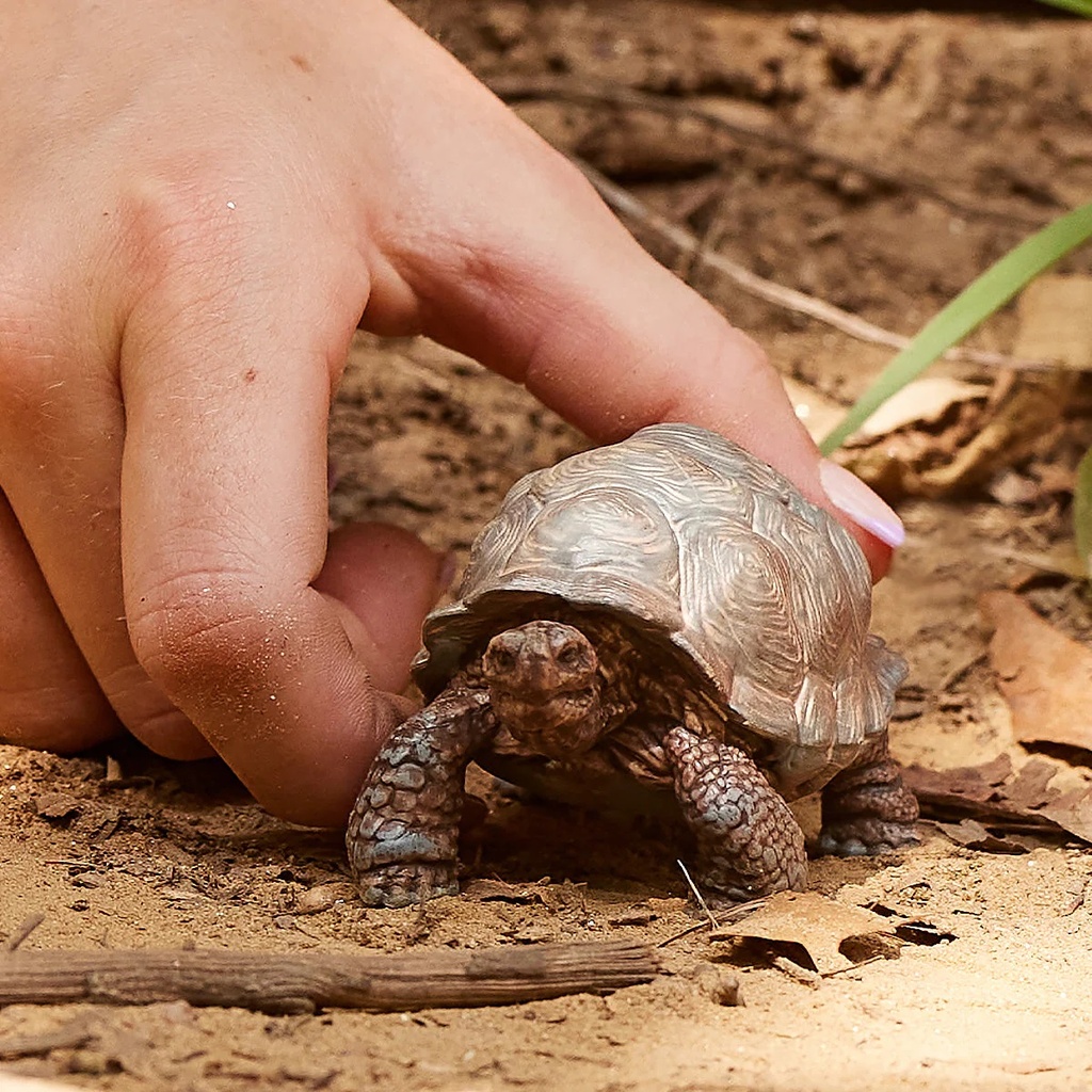 TORTUGA GIGANTE