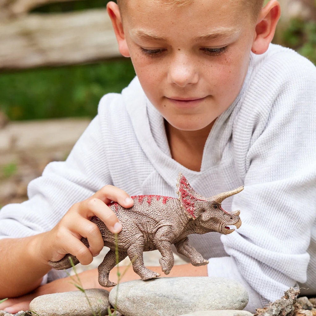TRICERATOPS