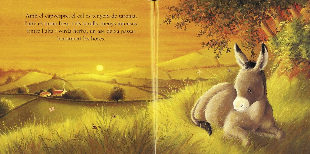 UN DIA AMB ELS ANIMALS