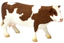 VACA FLECKVIEH