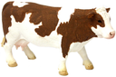 VACA FLECKVIEH